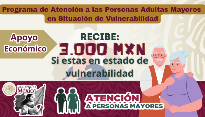 Programa de Atención a las Personas Adultas Mayores en Situación de Vulnerabilidad